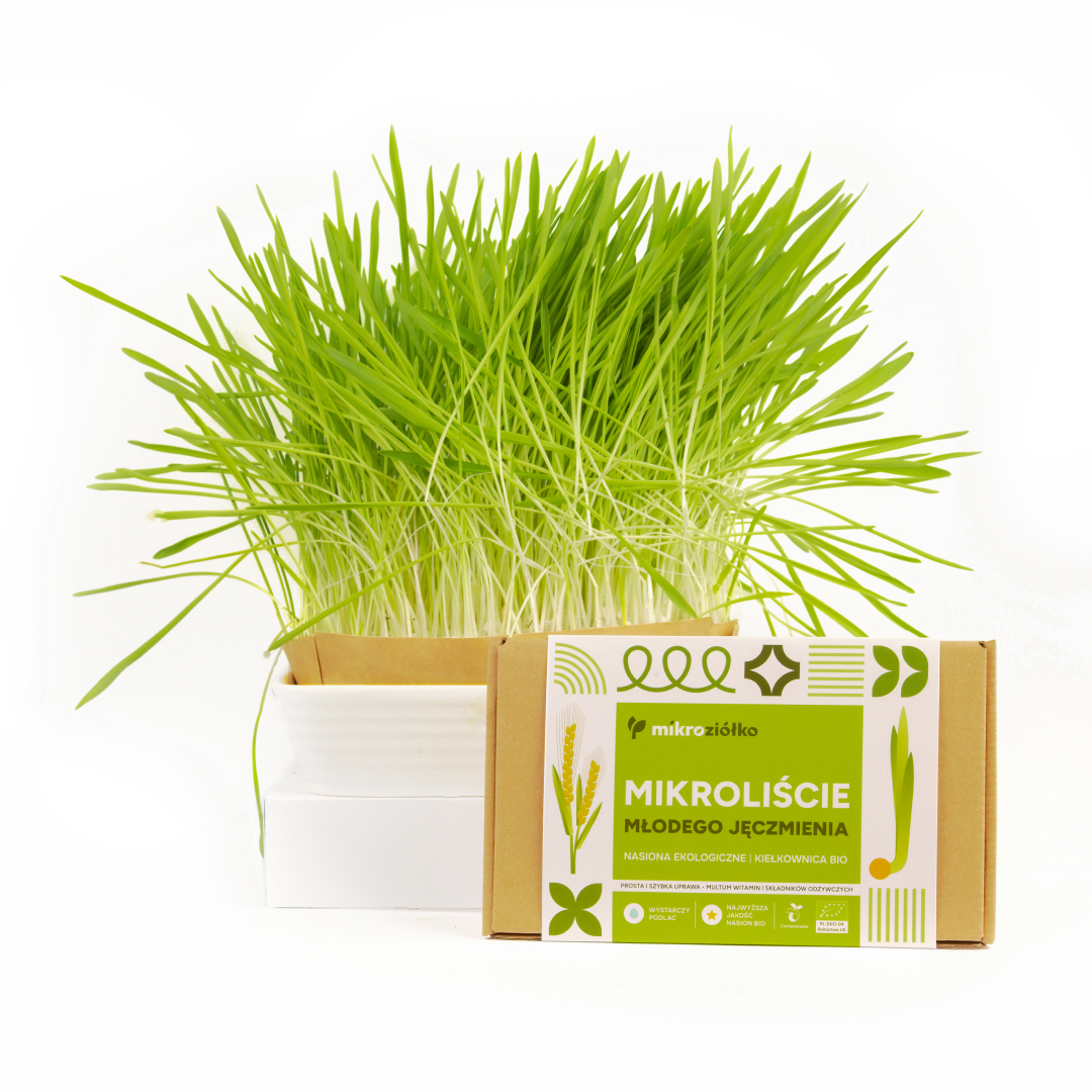 Młody Jęczmień - Kiełkownica BIO - obrazek 2