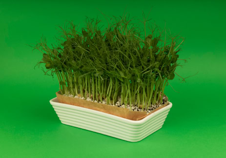 Zestaw "ŻELAZO" - obrazek 2