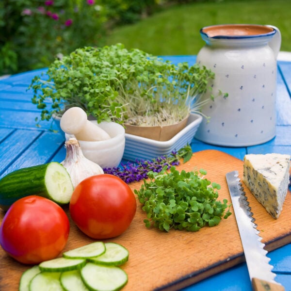 Microgreens gorczycy cięte na desce z warzywami i serem