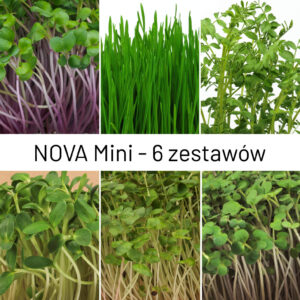 Paczka Nova Mini zawiera 6 zestawów mikroliści słonecznik, rzodkiewka, gryka, gorczyca, ciecierzyca i jeczmień