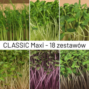 Paczka classic maxi 18 zestawów samodzielna uprawa mikroliśći groszek, słonecznik, rzodkiewka, gryka, gorczyca, kapusta